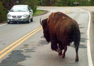 A threatened car